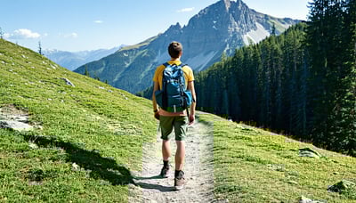 Hiker overlooking a scenic mountain trail